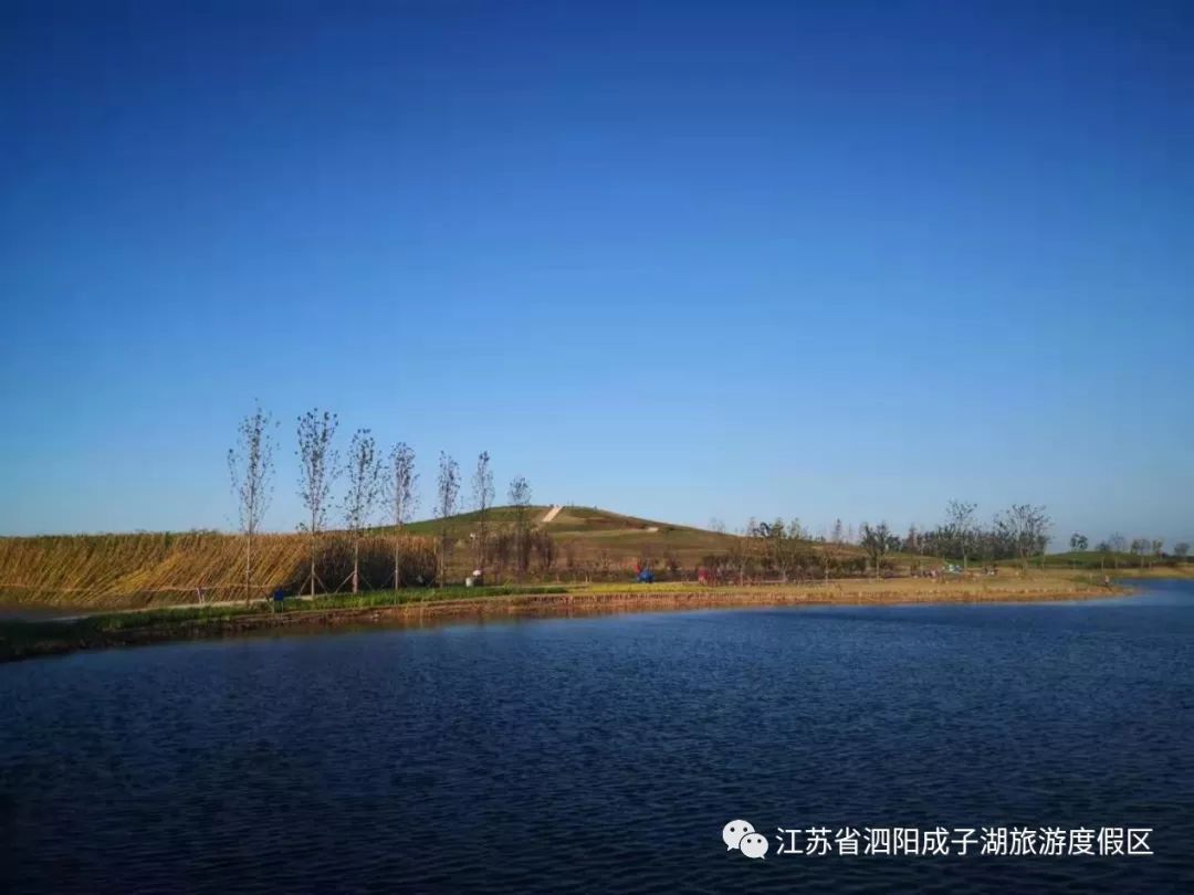 泗阳成子湖旅游胜地焕新纪实，美景图鉴抢先看