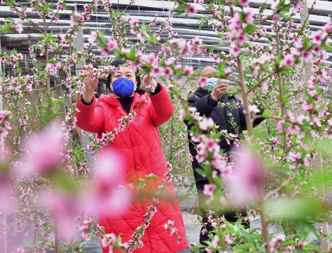 石家庄楼市动态：美好未来，房价稳步上升新篇章