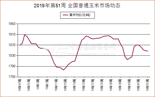 “玉米市场最新价格动态”