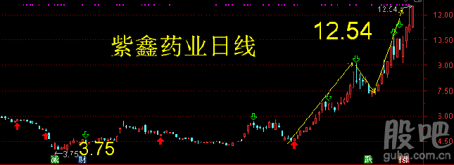 紫鑫药业最新资讯