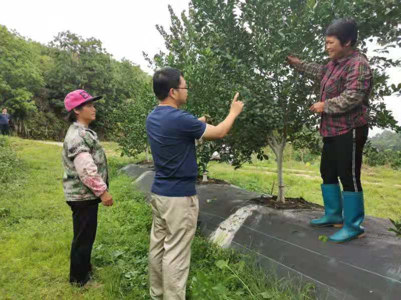 德庆人才市场最新职位发布