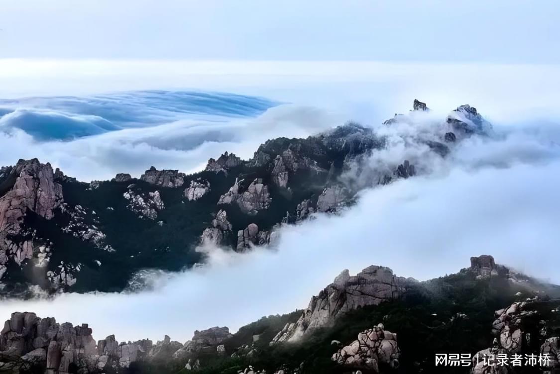 “崂山青岛最新资讯速递”