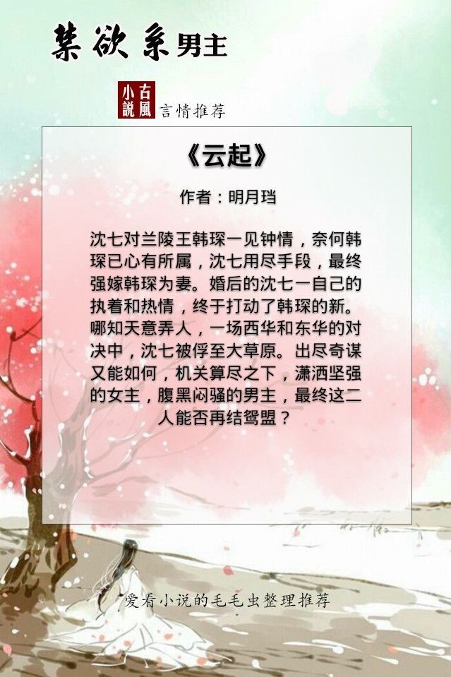 珰月新篇小说佳作