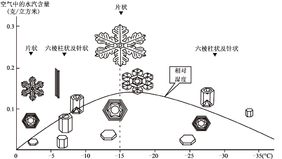 四种形态最新阐释