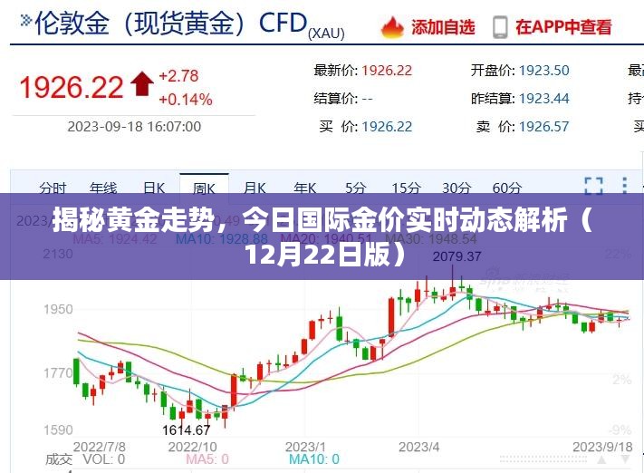 实时追踪：金价动态解析