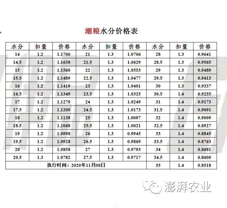 大连玉米市场实时动态