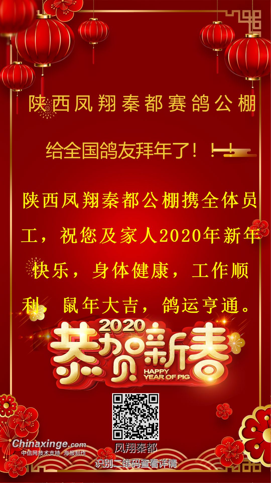 秦都赛鸽公棚重磅发布：最新官方公告揭晓