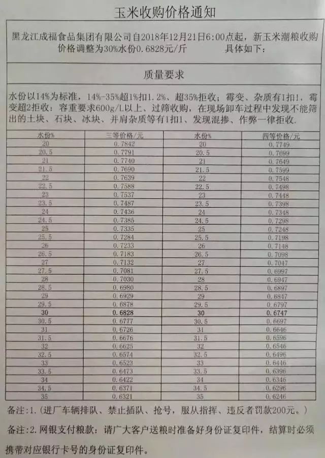 郑州玉米市最新动态：价格走势全解析