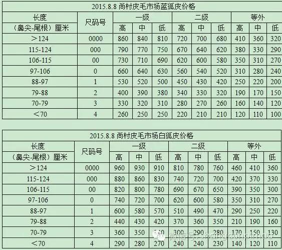 尚村水貂皮市场最新行情：价格实时盘点与走势分析