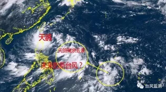 天鸽台风实时路径追踪：最新动态全解析